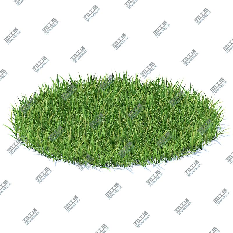 images/goods_img/202105071/3D Wild Plants 3D Models Collection FBX OBJ model/3.jpg